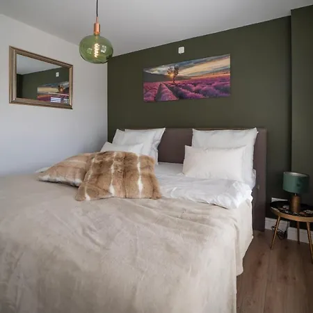 Boutique Appartementen Theodore Apartman *