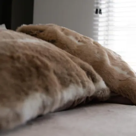 Boutique appartementen Théodore